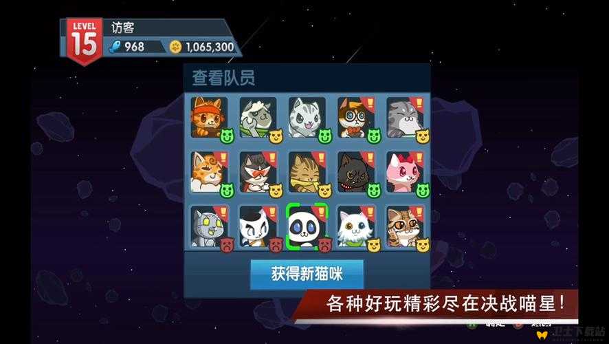 决战喵星，全面解析猫猫强化作用与实战攻略指南